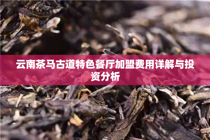 云南茶马古道特色餐厅加盟费用详解与投资分析