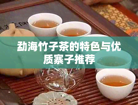 勐海竹子茶的特色与优质寨子推荐