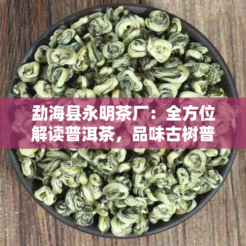 勐海县永明茶厂：全方位解读普洱茶，品味古树普洱的魅力与独特风味