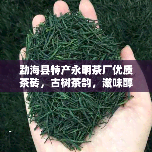 勐海县特产永明茶厂优质茶砖，古树茶韵，滋味醇厚，品鉴享受