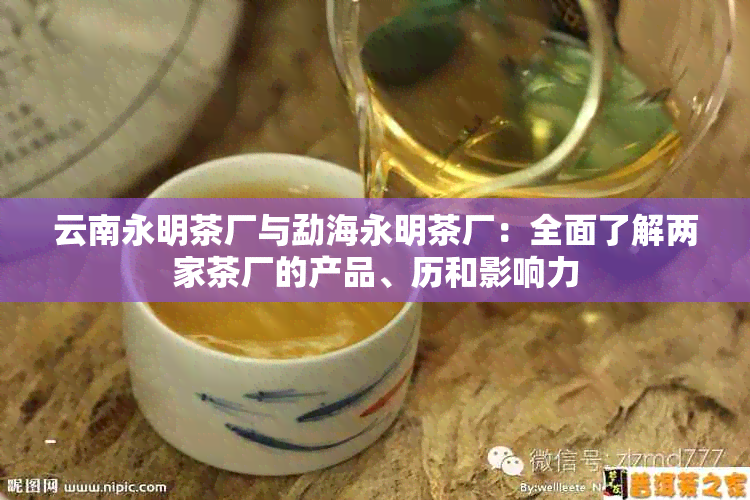 云南永明茶厂与勐海永明茶厂：全面了解两家茶厂的产品、历和影响力