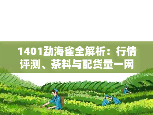 1401勐海雀全解析：行情评测、茶料与配货量一网打尽！