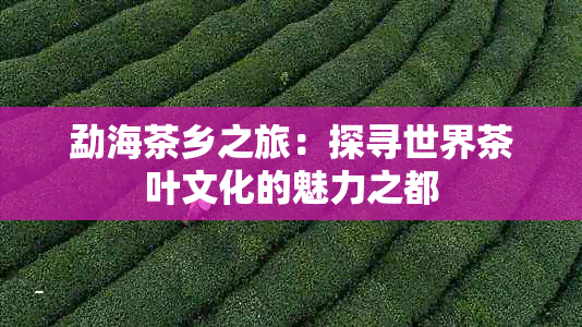 勐海茶乡之旅：探寻世界茶叶文化的魅力之都