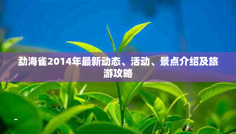 勐海雀2014年最新动态、活动、景点介绍及旅游攻略