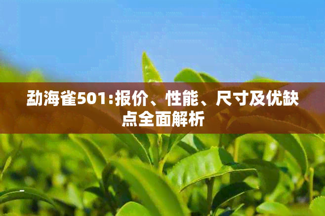 勐海雀501:报价、性能、尺寸及优缺点全面解析