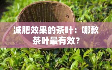 减肥效果的茶叶：哪款茶叶最有效？