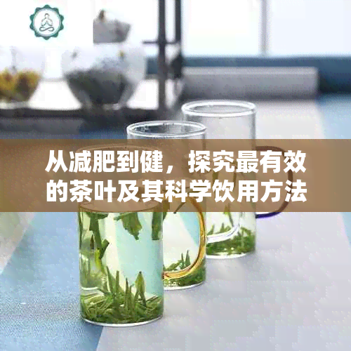 从减肥到健，探究最有效的茶叶及其科学饮用方法