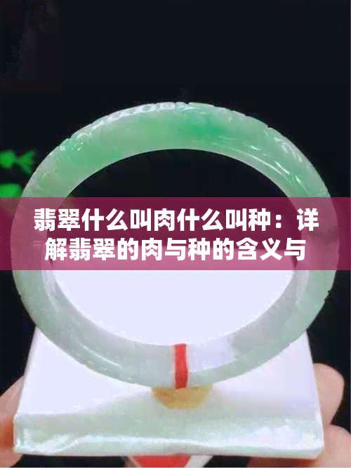 翡翠什么叫肉什么叫种：详解翡翠的肉与种的含义与区别