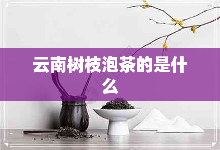 云南树枝泡茶的是什么