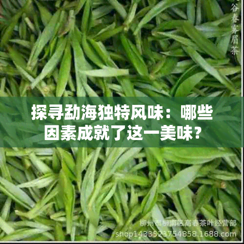 探寻勐海独特风味：哪些因素成就了这一美味？