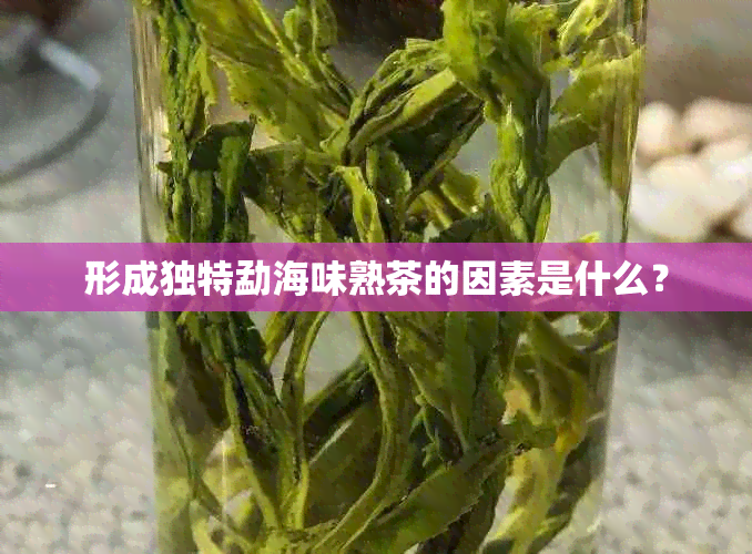 形成独特勐海味熟茶的因素是什么？