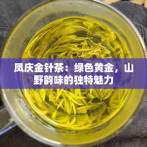 凤庆金针茶：绿色黄金，山野韵味的独特魅力