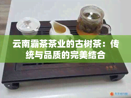 云南霸茶茶业的古树茶：传统与品质的完美结合