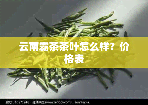 云南霸茶茶叶怎么样？价格表