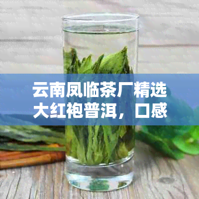 云南凤临茶厂精选大红袍普洱，口感醇厚，回无穷的顶级好茶