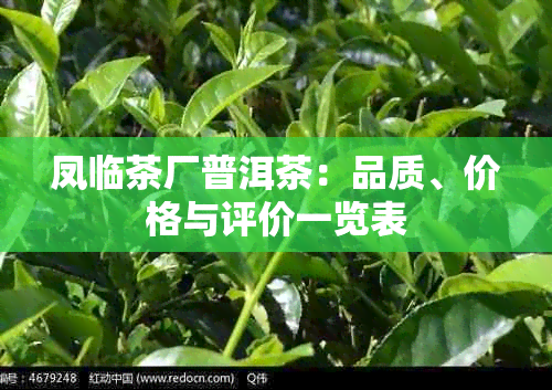 凤临茶厂普洱茶：品质、价格与评价一览表