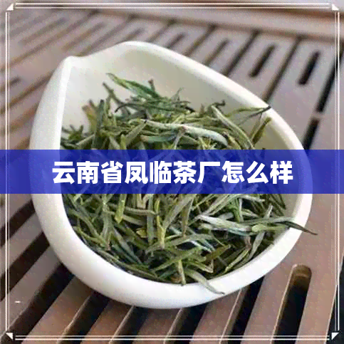 云南省凤临茶厂怎么样