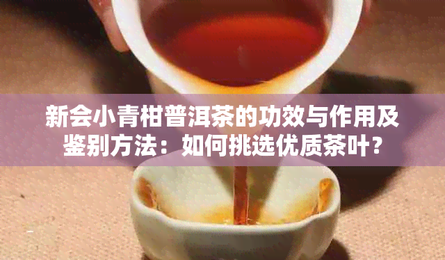 新会小青柑普洱茶的功效与作用及鉴别方法：如何挑选优质茶叶？