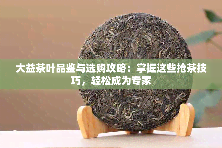 大益茶叶品鉴与选购攻略：掌握这些抢茶技巧，轻松成为专家