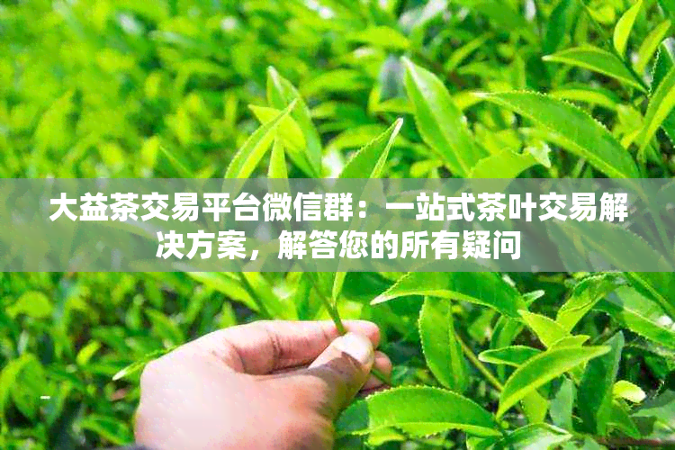 大益茶交易平台微信群：一站式茶叶交易解决方案，解答您的所有疑问