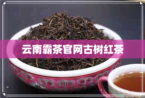 云南霸茶官网古树红茶