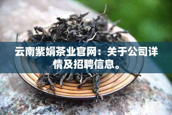 云南紫娟茶业官网：关于公司详情及招聘信息。