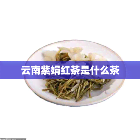 云南紫娟红茶是什么茶