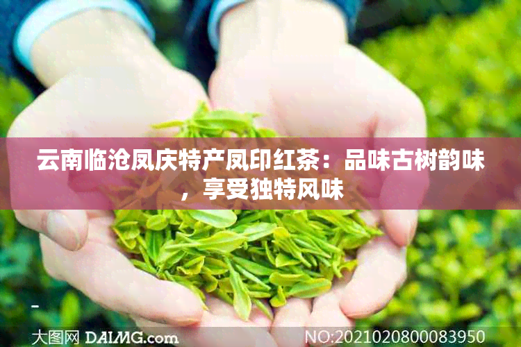 云南临沧凤庆特产凤印红茶：品味古树韵味，享受独特风味