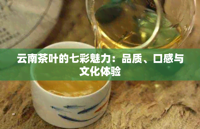 云南茶叶的七彩魅力：品质、口感与文化体验