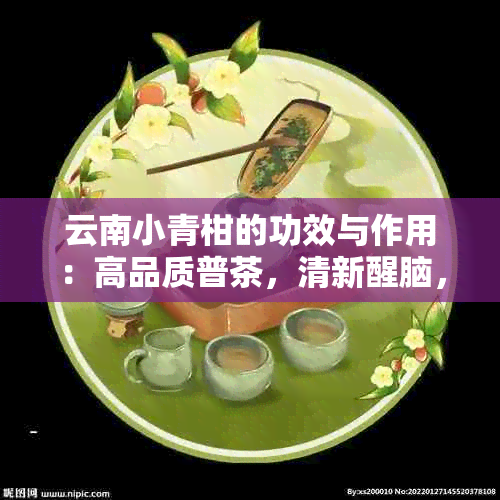 云南小青柑的功效与作用：高品质普茶，清新醒脑，多少钱一盒？