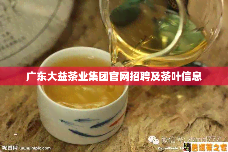 广东大益茶业集团官网招聘及茶叶信息