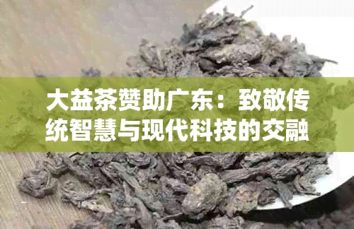 大益茶赞助广东：致敬传统智慧与现代科技的交融之美