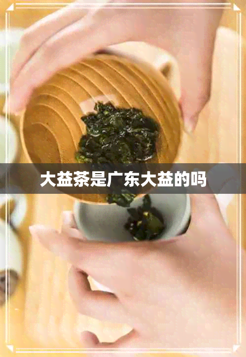 大益茶是广东大益的吗