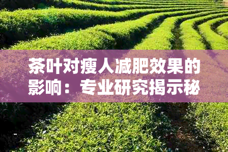 茶叶对瘦人减肥效果的影响：专业研究揭示秘密