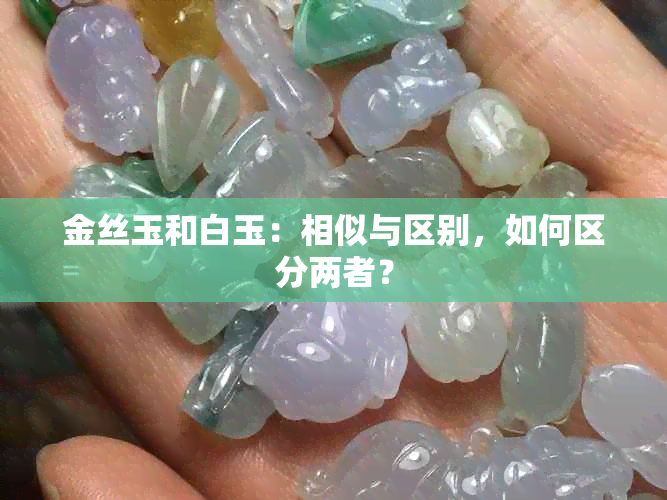 金丝玉和白玉：相似与区别，如何区分两者？