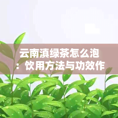 云南滇绿茶怎么泡：饮用方法与功效作用