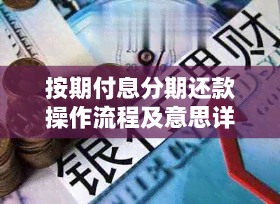 按期付息分期还款操作流程及意思详解