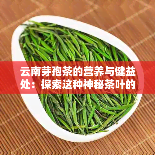 云南芽孢茶的营养与健益处：探索这种神秘茶叶的功效