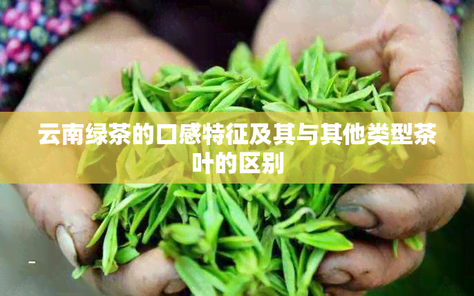 云南绿茶的口感特征及其与其他类型茶叶的区别