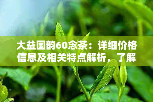 大益国韵60念茶：详细价格信息及相关特点解析，了解这款茶的途径