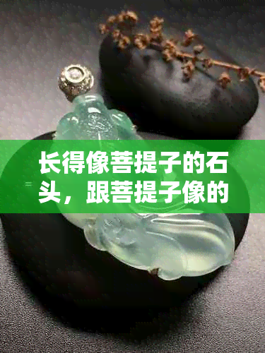 长得像菩提子的石头，跟菩提子像的都有什么：像菩提但又有点像石头是什么？