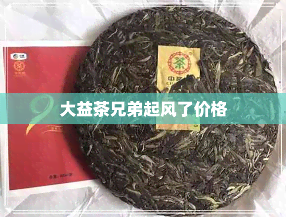 大益茶兄弟起风了价格