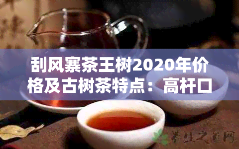 刮风寨茶王树2020年价格及古树茶特点：高杆口感与醇厚香韵