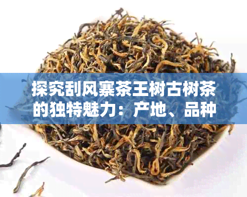 探究刮风寨茶王树古树茶的独特魅力：产地、品种、制作工艺与品鉴方法