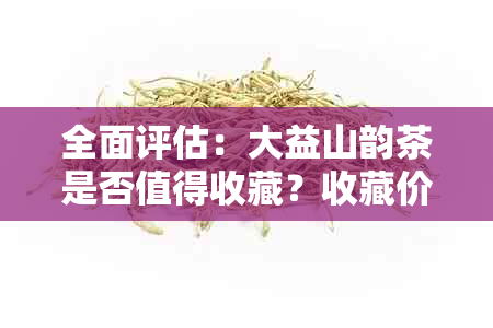 全面评估：大益山韵茶是否值得收藏？收藏价值与品鉴方法一文解析