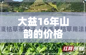 大益16年山韵的价格