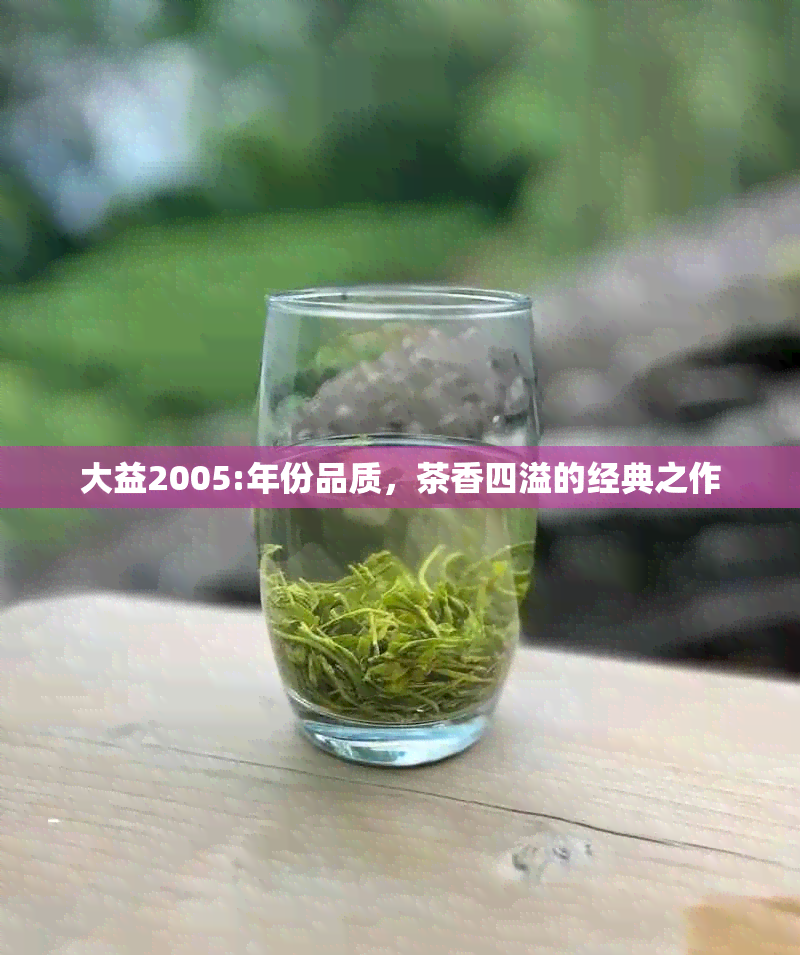 大益2005:年份品质，茶香四溢的经典之作