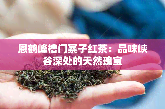 恩鹤峰槽门寨子红茶：品味峡谷深处的天然瑰宝