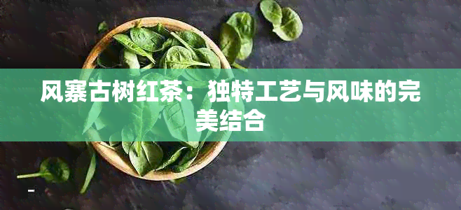 风寨古树红茶：独特工艺与风味的完美结合