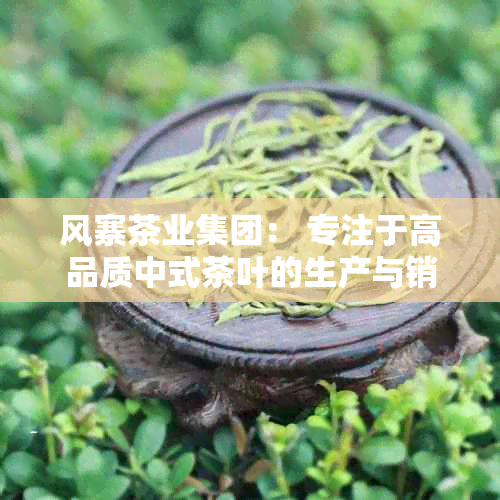 风寨茶业集团： 专注于高品质中式茶叶的生产与销售